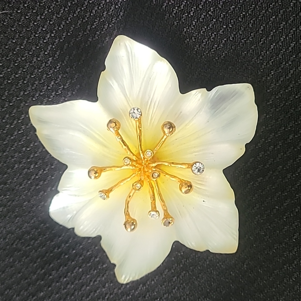 A beautiful handcrafted used Alexis bitter brooch
